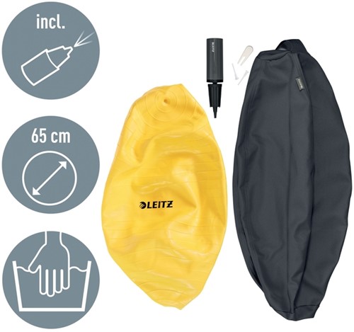Actieve zitbal Leitz Ergo Cosy grijs-2