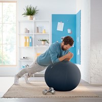 Actieve zitbal Leitz Ergo Cosy grijs-5