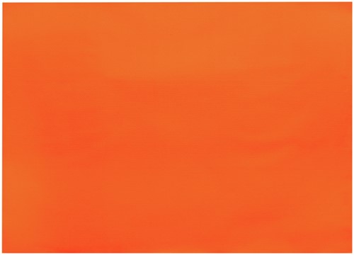 Placemats oranje Infibra 30x40cm 250vel-3