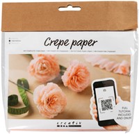 Hobbyset Crêpepapier Anjers Creotime Anjers mini