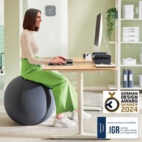 Actieve zitbal Leitz Ergo 55cm anti-rol donkergrijs-10