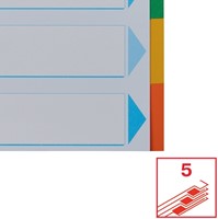 Tabbladen Esselte Standaard A4 5-delig karton 11-rings met voorblad assorti-1