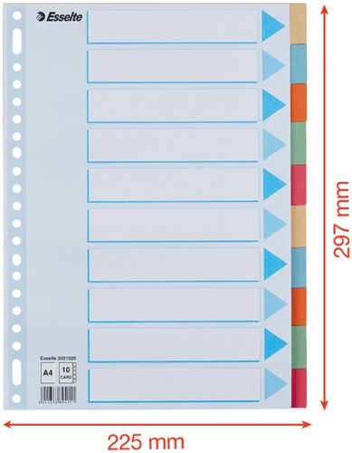 Tabbladen Esselte Premium A4 10-delig karton 23-rings assorti-3