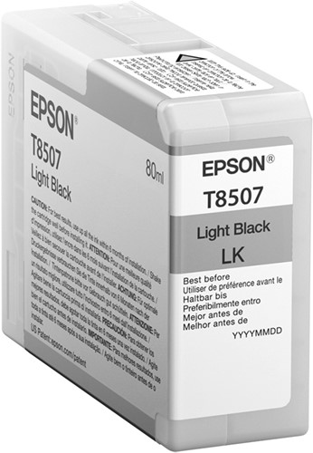 Epson Singlepack Light Black T850700-2