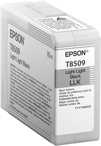Epson Singlepack Light Light Black T850900-2