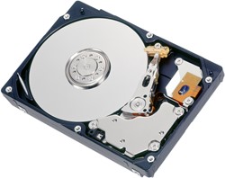 Fujitsu S26361-F5600-L100 interne harde schijf 2.5" 1000 GB SAS