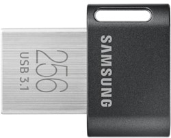 Samsung MUF-256AB USB flash drive 256 GB USB Type-A 3.2 Gen 1 (3.1 Gen 1) Grijs, Zilver