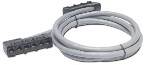 APC 73ft Cat5e UTP, 6x RJ-45 - 6x RJ-45 netwerkkabel Grijs 22,25 m U/UTP (UTP)