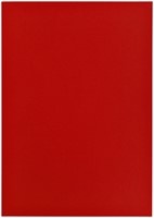 Kopieerpapier Papicolor A4 200gr 6vel rood-2