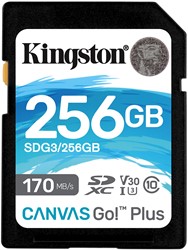 256GB SDXC Canvas Go Plus 170R C10 UHS-I U3 V30
