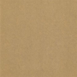 Apparaatrol kraft nature eco 200mx30cm