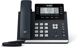Yealink SIP-T43U IP telefoon Grijs LCD Wifi