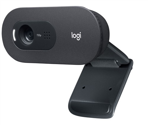 Logitech C505e webcam 1280 x 720 Pixels USB Zwart-2