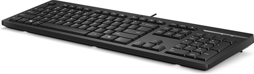 HP 125 toetsenbord met kabel-3