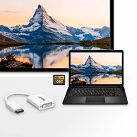 ATEN DisplayPort naar DVI-adapter-3