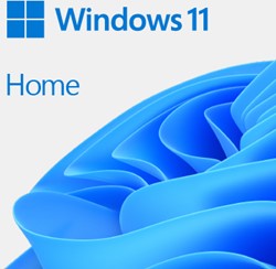 Microsoft Windows 11 Home Volledig verpakt product (FPP) 1 licentie(s)