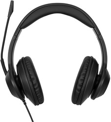 Targus AEH102GL hoofdtelefoon/headset