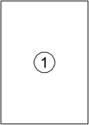 Etiket Quantore 210x297mm 100stuks
