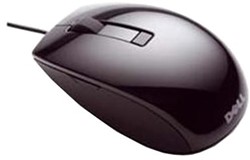 Muizen
