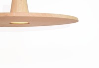 DG hanglamp Disc in eiken hout Ø 38mm, incl. pendelset snoer/plafond/fitting en led spot Philips 35W warm wit-3