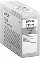 Epson Singlepack Light Light Black T850900