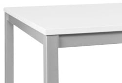 T40 statafel vaste hoogte 110cm.